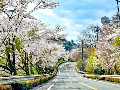 ドライバーズ株式会社