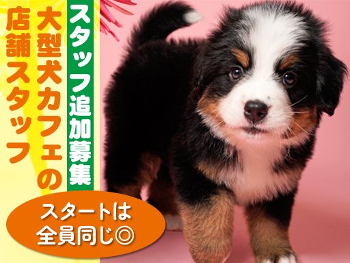 moffle（モッフル）神戸三ノ宮店