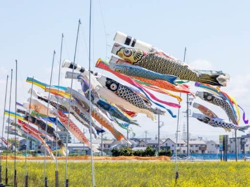 ドライバーズ株式会社