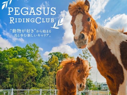 株式会社ペガサス ペガサス乗馬クラブ