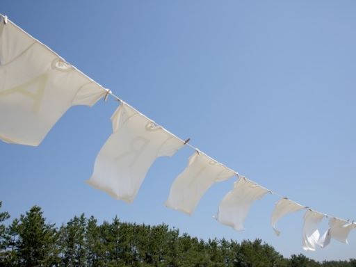 有限会社エス・イー・シー