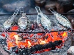 株式会社常陸乃アグリ