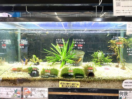 アクア＆ペット かねだい八千代店