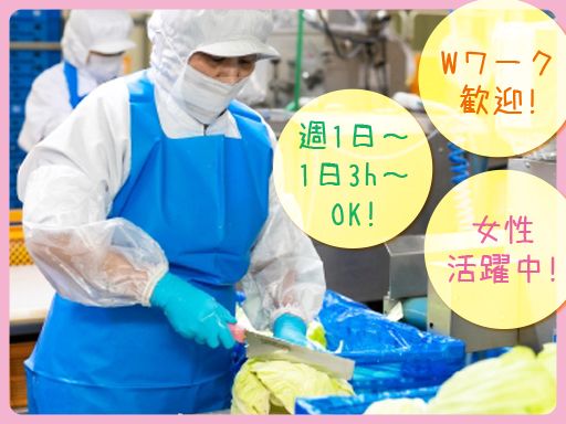 株式会社和郷 カット野菜工場