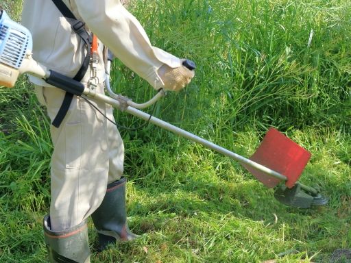 株式会社ハナノイ