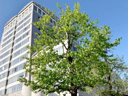 福岡県魚市場株式会社