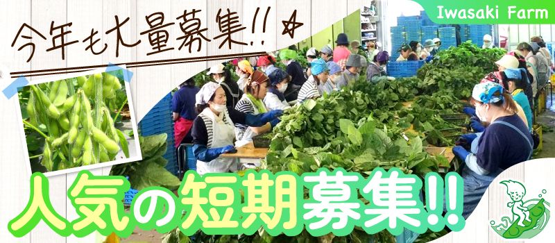 (有)岩崎ファーム